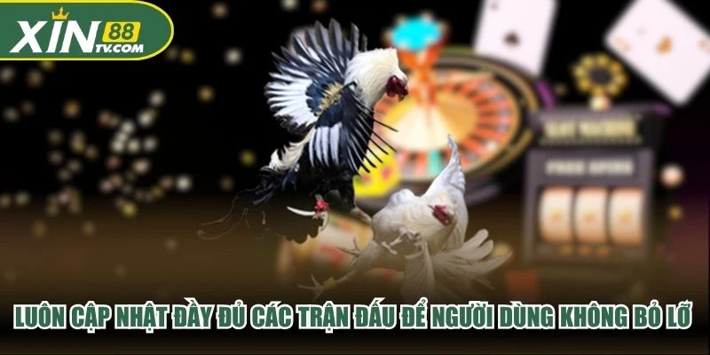 Luôn cập nhật đầy đủ các trận đấu để người dùng không bỏ lỡ khoảnh khắc nào