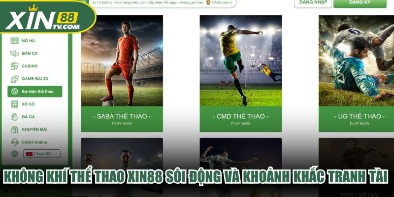 Không khí thể thao XIN88 sôi động và khoảnh khắc tranh tài đầy kịch tính.